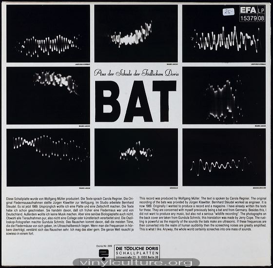 t_doris_bat_b.jpg