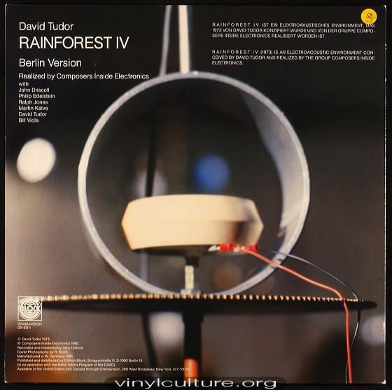 tudor_rainforest_b.jpg